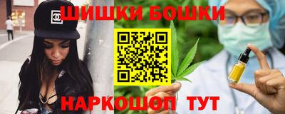 apvp Камышлов