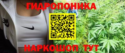 apvp Камышлов