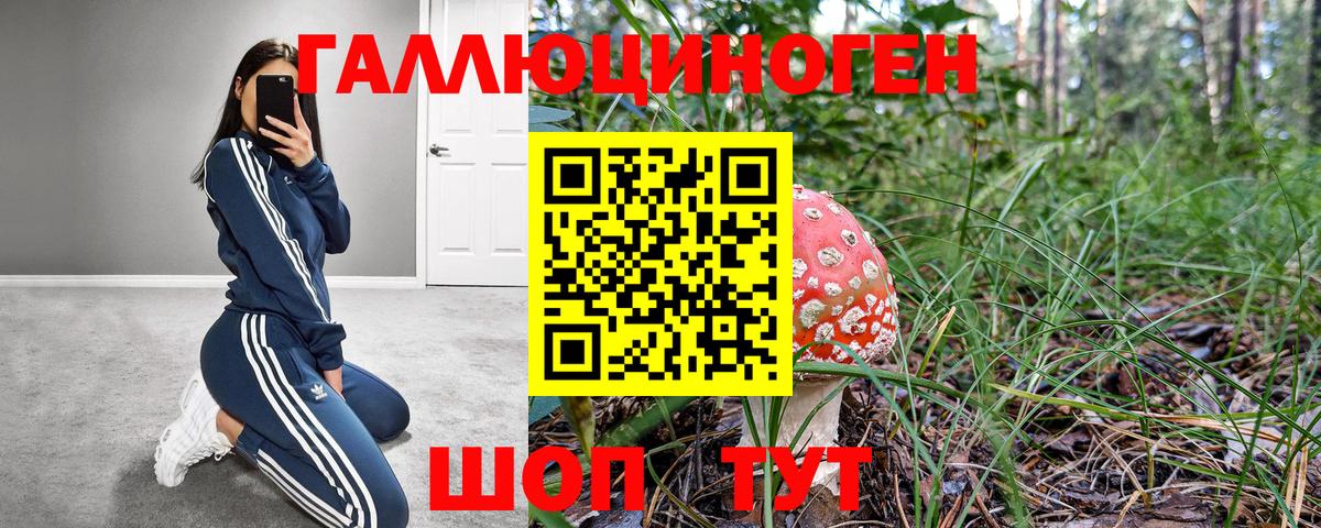 купить  сайты  Вход с VPN  Краснознаменск  Галлюциногенные грибы мицелий 